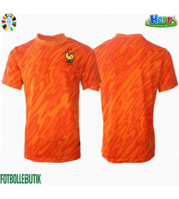 Frankrike Målvakt Bortatröja EM 2024 Kortärmad